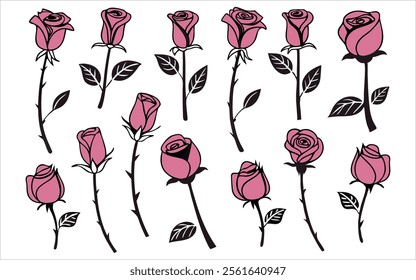 Set of Detailed Pink Rose Illustrations Featuring Diverse Floral Designs and Leaf Patterns