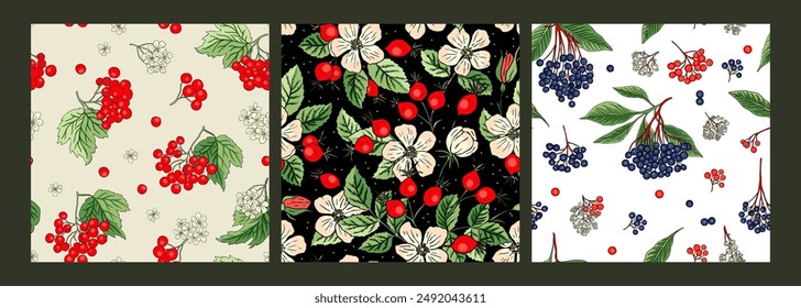 set of detailed seamless vector patterns of garden forest berries and rosehip flowers Viburnum rowan red berries and flower compositions