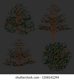 Set with detailed trees. Side view and top. 3D. Vector illustration