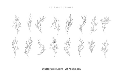 Conjunto de varios detalhados ramificação elegante com traçado editável. ilustração vetorial desenhada à mão, elementos botânicos para convite, salve o cartão de data.