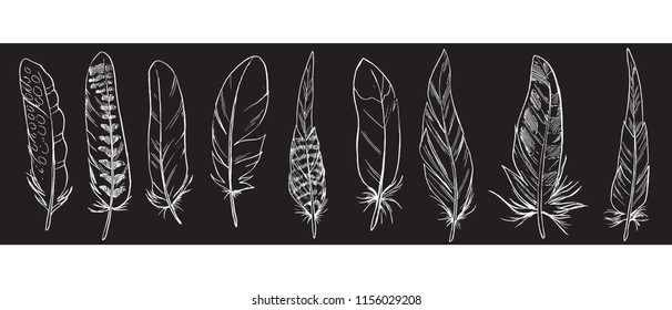 Set of detailed vector outline feathers isolated on a black background. Laconic and stylish illustration. Monochrome vector