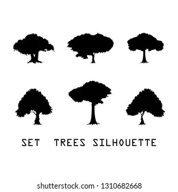 Set Detailed vectoral trees silhouette.vector illustration isolated on white background.  african, tropical Trees Silhouettes. abstract trees design eps.10 Detailed vectoral silhouettes of trees bushs