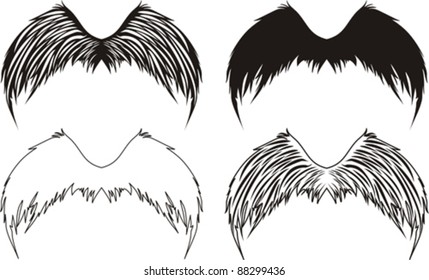 set of detailed wings isolated on White background. Vector illustration