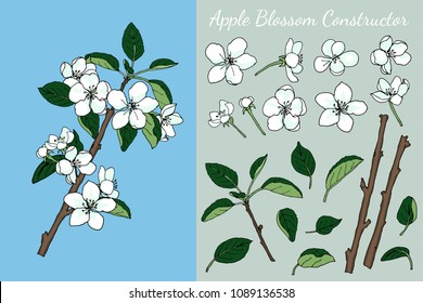 Set of details of constructor to compile apple spring blossom trees branches. Hand drawn illustration.