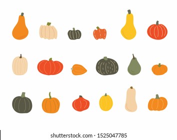 Set of differend pumpkins. Autumn set of elements on isolated white background.