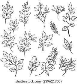 Set of different abstract branch with leaves of different shapes in black isolated on white background. Hand drawn vector sketch illustration in doodle engraved vintage style. Natural, botanical.