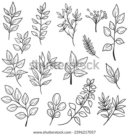 Set of different abstract branch with leaves of different shapes in black isolated on white background. Hand drawn vector sketch illustration in doodle engraved vintage style. Natural, botanical.
