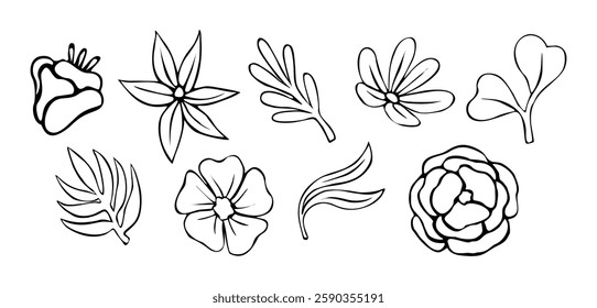 Set of different abstract flowers and leaves drawings. Outline botanical sketch vector illustrations isolated on transparent background