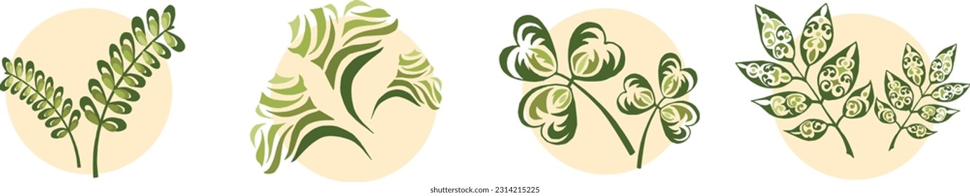 Set of different abstract leaves of plants. Several vector images on a beige background in the form of a circle.