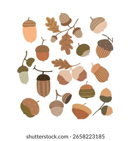 Coloque diferentes bolotas e folhas. Ilustração de queda de vetor.