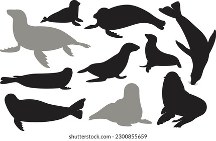 Set of different acting Seal silhouettes for design use. Silhouettes of Seal are isolated on a white background. 