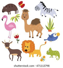 Set of different african animals on white background.