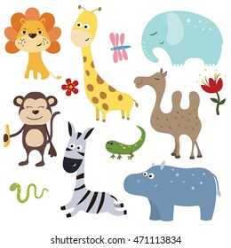Set of different african animals on white background.