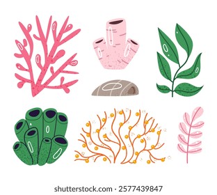 Set of different algae.Marine creatures, sea or ocean flora and fauna.