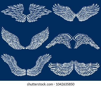 Set of the different angels wings