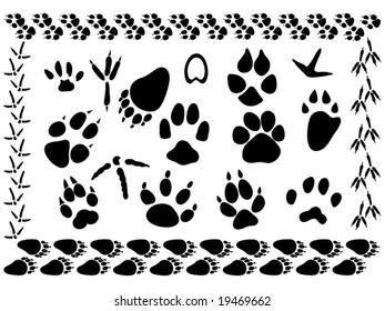 set of different animal and bird footsteps vector illustration