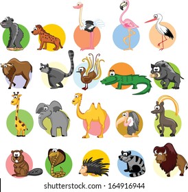 Set of different animals and birds