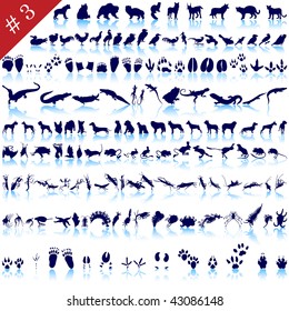 Set of  different animals, birds, insects and fishes  vector silhouettes