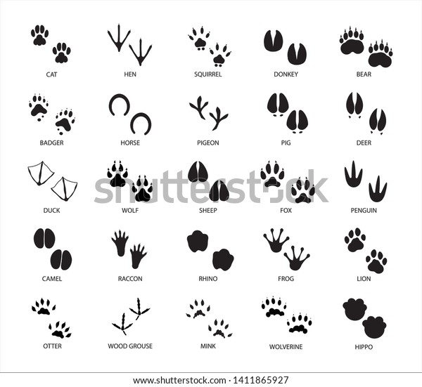 Set\
of different animals and birds silhouette tracks with description\
isolated on white background flat vector\
illustration