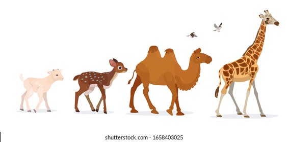 A Set Of Different Animals In A Cartoon Style. Coming Camel, Deer, Giraffe And Goat Cub.