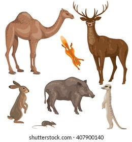 Set of different animals of forest, desert and steppe zones isolated on white.  Simplified images of wild mammals.