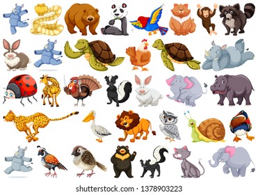 Set of different animals illustration