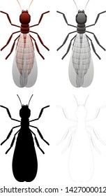 Set of different animals illustration