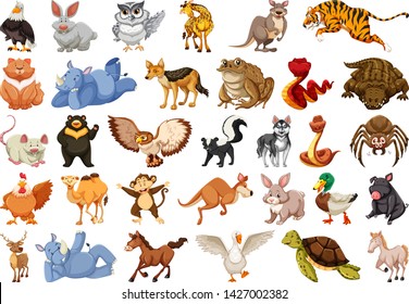 Set of different animals illustration