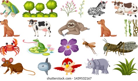 Set of different animals illustration