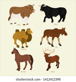 Set of different animals on a light background.