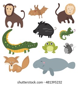 Set Different Animals South America On Stock Vector (Royalty Free ...