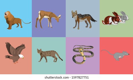 the set of different animals vector illustration