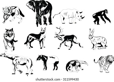 Set of  different animals in white black colors: elephant, wolf, deer, tiger, tapir