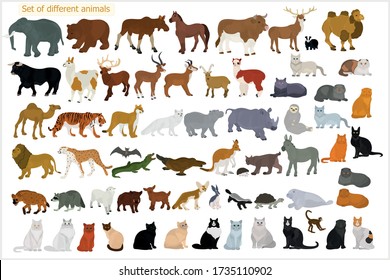 Set of different animals. Wild animals. Domestic cats.