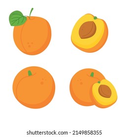 Set of different apricot fruits