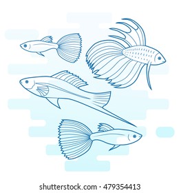 Set of different aquarium fish.  Modern outline illustration of tropical decorative fish isolated on white background.