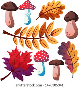 Set of the different autumn elements such as leaves, mushrooms, button mushroom, amanita or toadstool, poison, isolated on white for postcards, prints etc