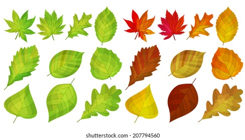 Set with different autumn land summer eaves.
