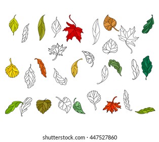 Set with different autumn leaves