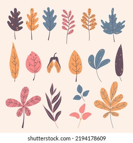 Set of different autumn leaves in an extraordinary palette for decoration, product design