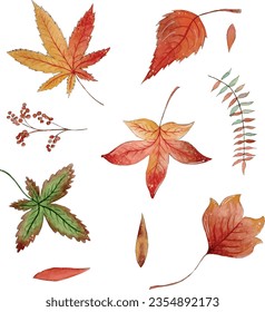 set of different autumn leaves, fall season, autumn leaves