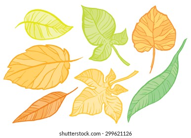 set of different autumn leaves - hand drawn doodle vector illustration