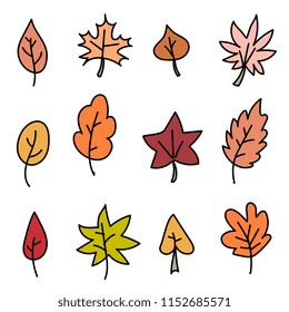 set of different autumn leaves isolated on white background. Hand drawn style. Doodle vector elements