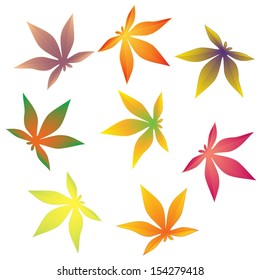 Set of different autumn leaves isolated on white background 
