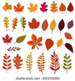 set of different autumn leaves isolated on transparent background. set to create a design. vector illustration 