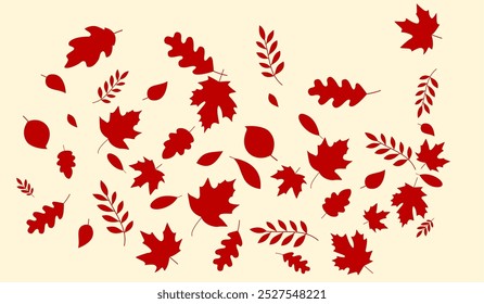 Set of Different Autumn Leaves Vector Design. Autumn fall leaves Rowan, nut, oak, maple, birch and acorns illustration Background. Random Leaves fall. Autumn Seasonal Background