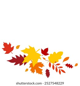 Set of Different Autumn Leaves Vector Design. Autumn fall leaves Rowan, nut, oak, maple, birch and acorns illustration Background. Random Leaves fall. Autumn Seasonal Background