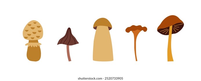 Set of different autumn mushrooms. Autumn, nature, mushrooms. Vector illustration in flat style.