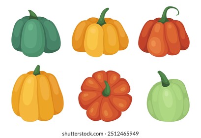 Set of different autumn pumpkins. Orange, yellow and green pumpkin and squash. October, fall, harvest time. Autumn vegetables. Vector illustration isolated on white.