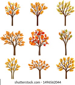 Set of different autumn trees. Vector illustration on a white background.